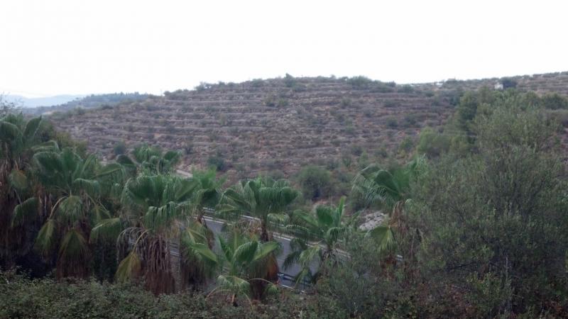 [second:250-248-11-601] GANDIA – Land od 179 995 € | Inland, Costa Blanca