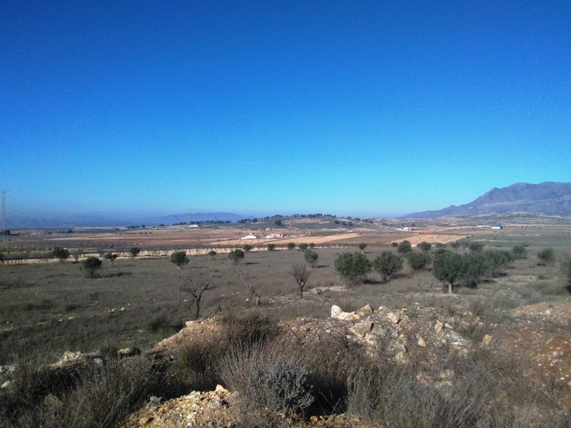 [second:355-248-11-601] TORRE DEL RICO – Land od 349 999 € | Inland, Costa Cálida
